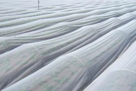 クレモナ® 寒冷紗 | クラレトレーディング株式会社